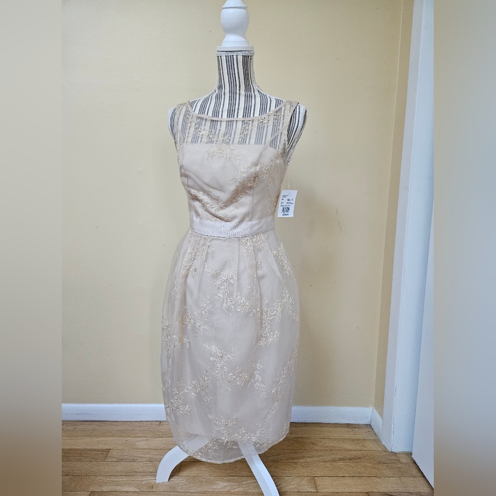 David's Bridal Elegant Cream Lace Dress (Size 2)